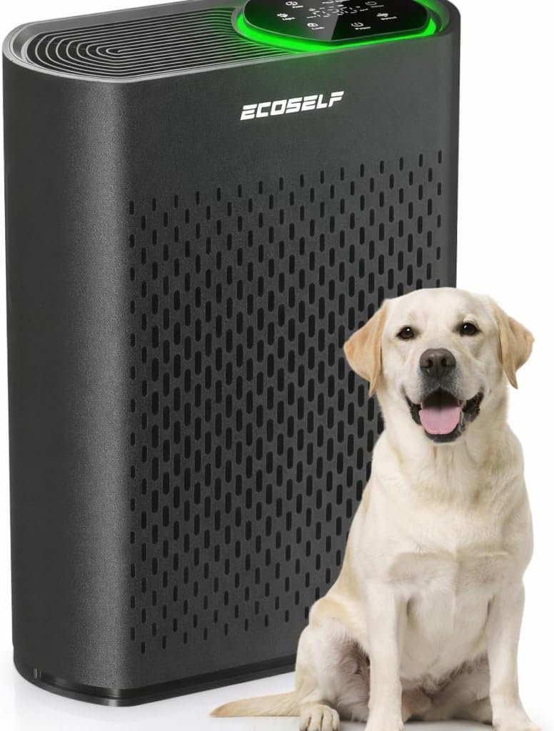 Air Purifier for Large Room, Cleans 2,400 ft² in 30 Mins True HEPA Filter Space Gray