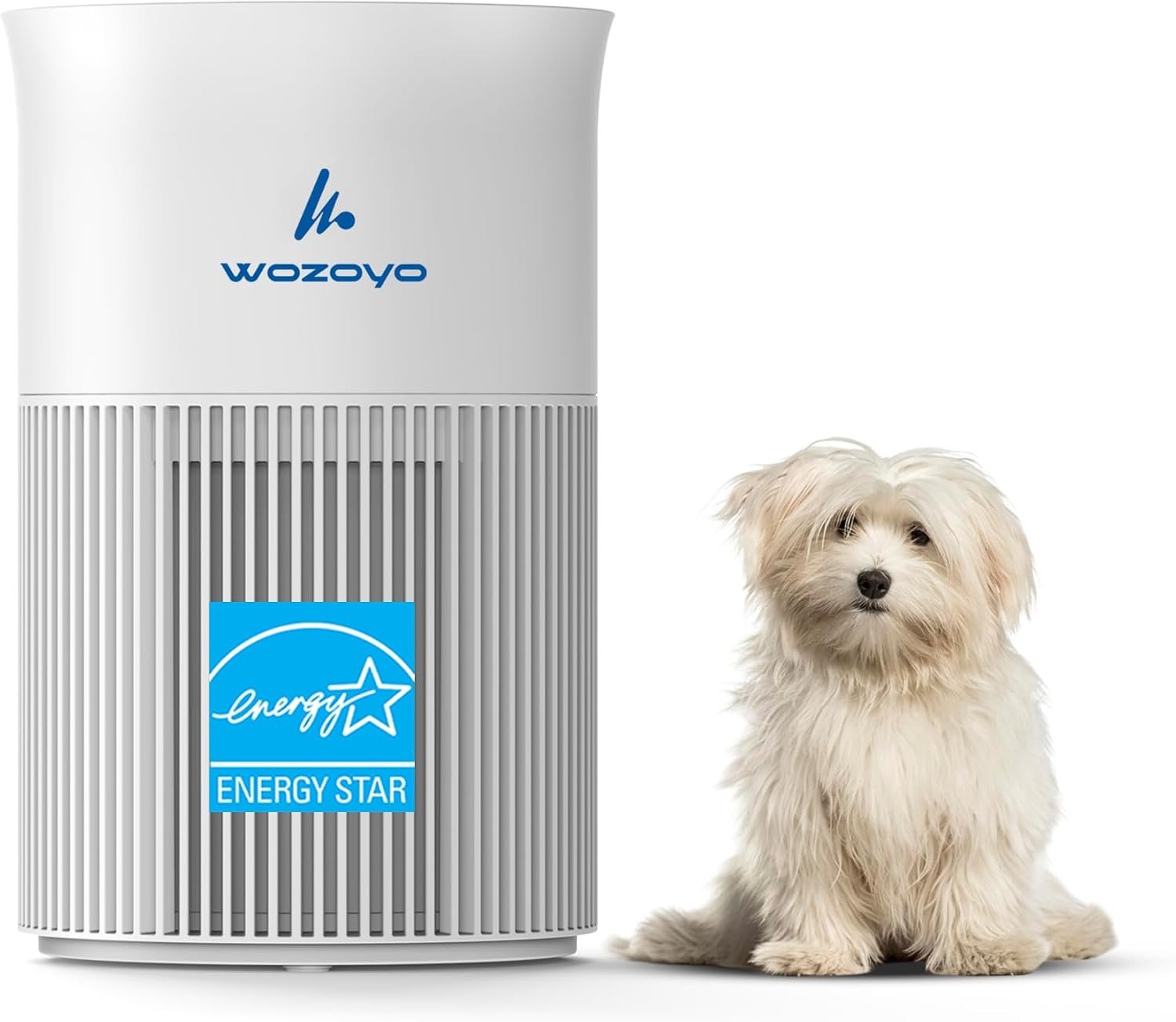 Pure Air PA1 Wozoyo Air Purifier For Bedroom Home, Office, Desktop, AHAM VERIFIDE, Covers Up To 300 ft², 3-in-1 HEPA Filter Cleaner With Aroma Pad, Filters Smoke, Pet Dander, Odor, Dust